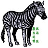 zebra02