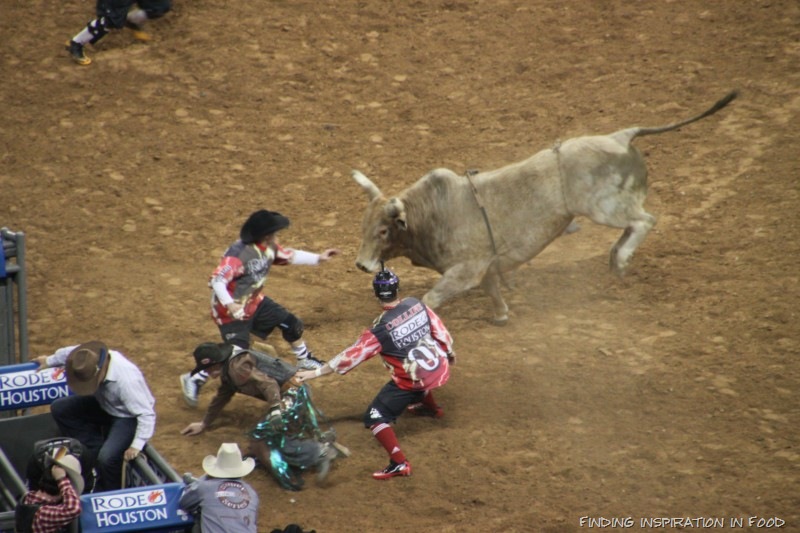 [IMG_9309 [800x600][5].jpg]