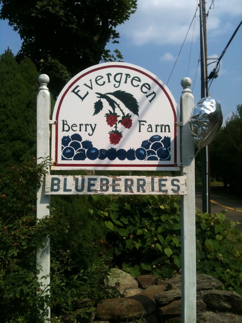 [blueberry4[4].jpg]