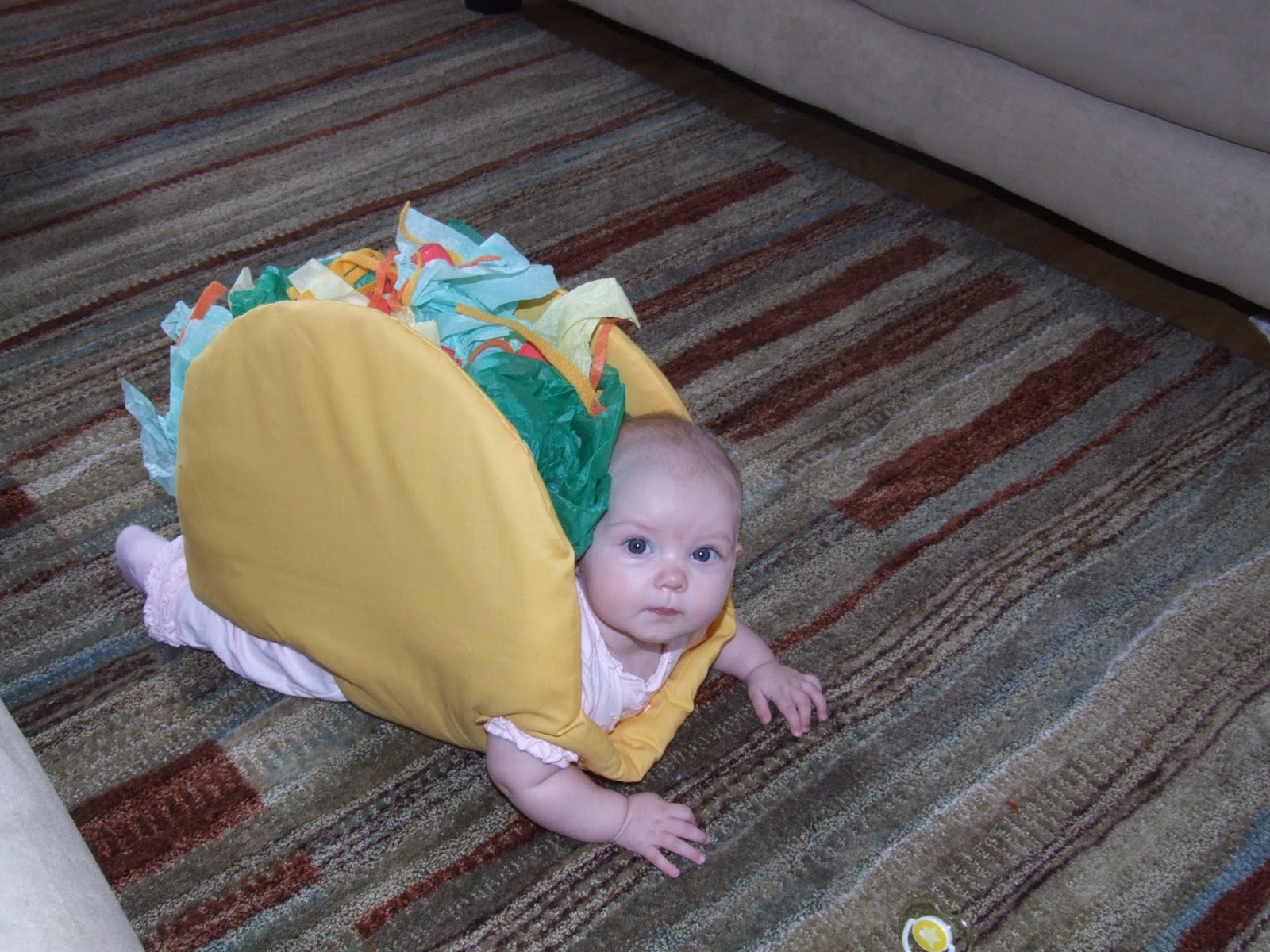 [taco baby[4].jpg]
