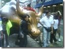 fighterbull