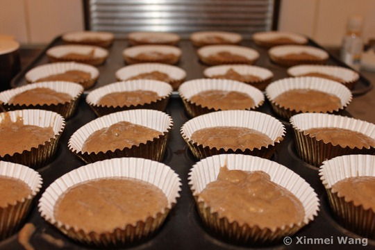 IMG_7467 IMG_7467