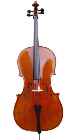 [cello_pa602_front_sm[4].jpg]