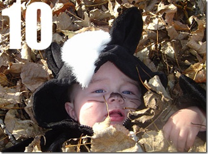skunk