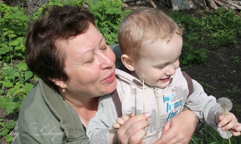 задувание одуванчиков задувание одуванчиков