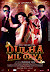 Dulha Milgaya