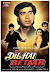 Dil hai betaab