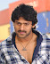 Bujji Gadu