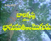 Bhanumathi Gari Mogudu