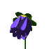 blumen00015