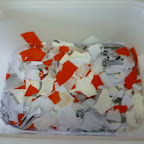 1ste leerjaar - maart 2010 - we maken ons eigen gerecycleerd papier