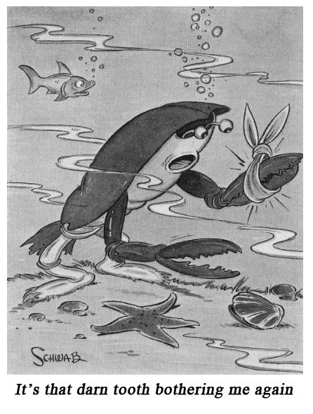 [Fred Schwab Cartoon Boys Life 2 May 1939[5].jpg]