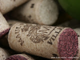 PICT0071.jpg