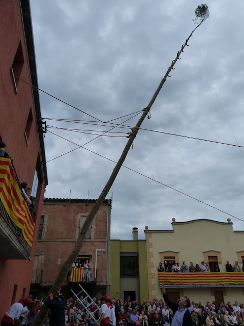 P1000744.JPG