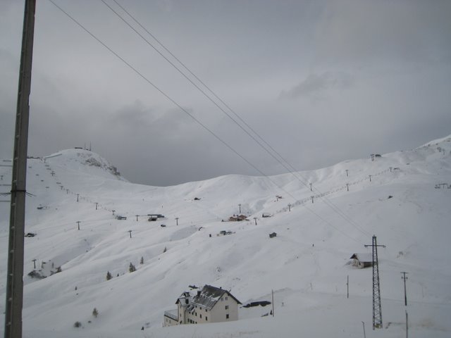 IMG_8218.JPG