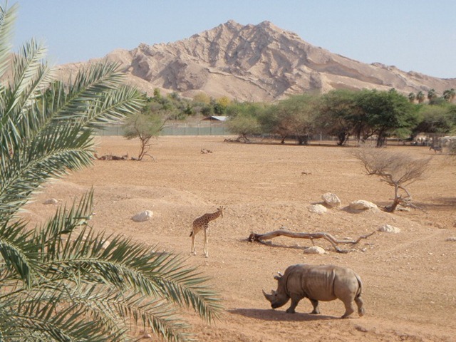 [P10142095.jpg]