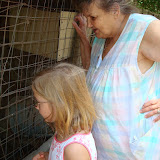 Summer 2008