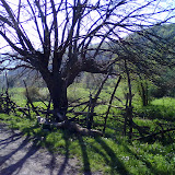 DSC00542.JPG