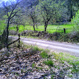 DSC00561.JPG