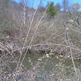 IMAG0020.jpg