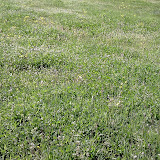 IMAG0030.jpg