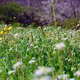 DSC_4566.JPG