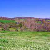 DSC_4571.JPG