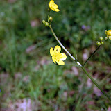 DSC_4582.JPG