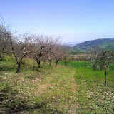 DSC00557.JPG