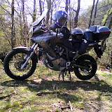DSC00568.JPG