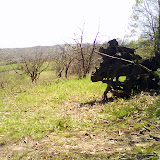 DSC00570.JPG