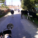 DSC00579.JPG