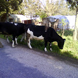 DSC00580.JPG