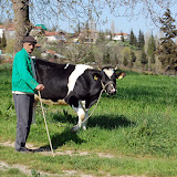DSC_4693.JPG