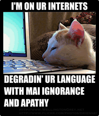 [lolcatattack6.png]