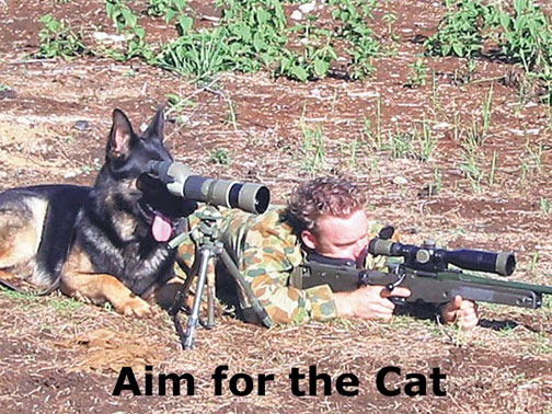 [aim-for-the-cat5.jpg]