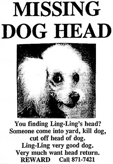 [missing-dog-head6.jpg]
