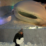 Kai, Look Out for the Whale Shark! This is Kai playing in the snow next to the Okinawa Churaumi Aquarium sculpture.