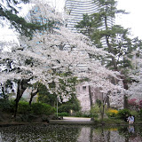 2007 - Japan - Tokyo - April