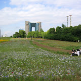 Spring time in Odaiba