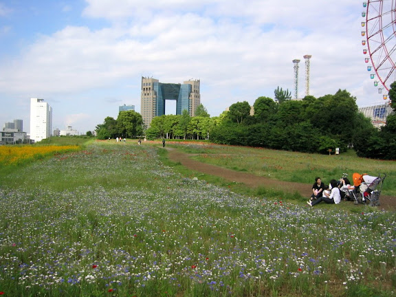 Spring time in Odaiba