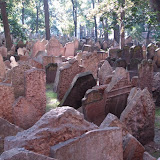 The Old Jewish Cemetery