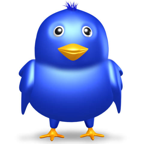 [Twitter bird (3)[3].png]