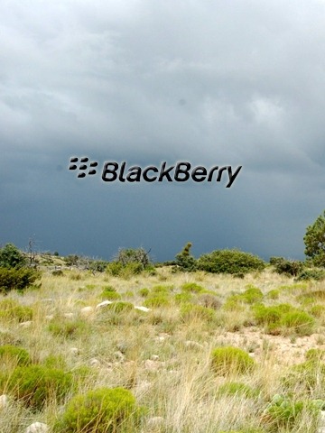 [Blackberry 5[2].jpg]