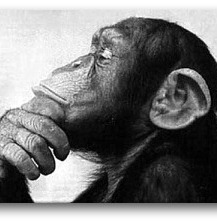 [monkey_thinker[1][22].jpg]