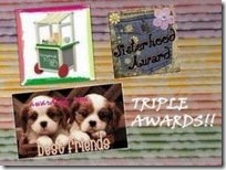 3 awards