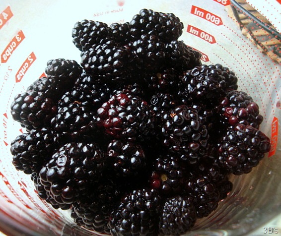 [DSC019005.jpg]