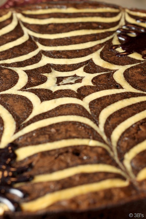 [spider-web-brownies[26].jpg]