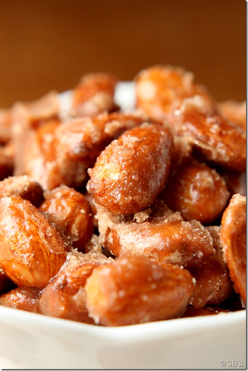 candied-almonds-CU