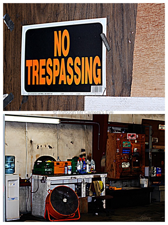 [work-collage[14].jpg]